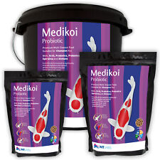 Labs medi koi for sale  DARTFORD