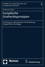 Europäische strafrechtsprinzi gebraucht kaufen  Bayreuth