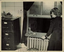 1945 press photo for sale  Memphis