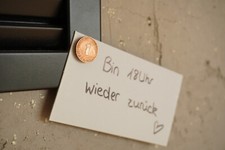 Pfennig magnet stück gebraucht kaufen  Ravensburg