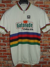 Gatorade iridata santini usato  Ercolano