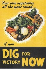 Dig victory emergency for sale  CHESTER