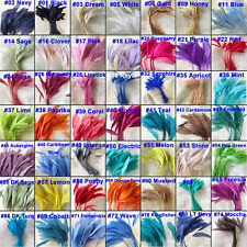 Stripped coque feather for sale  HULL