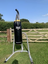 Everlast gym frame for sale  CHESTER