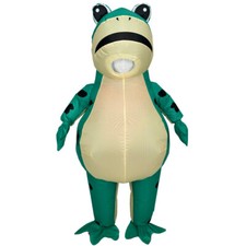 Funny frog inflatable for sale  Walnut