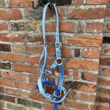 dually halter for sale dually halter for sale CONGLETON