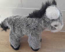 Beautiful grey donkey for sale  BOURNEMOUTH