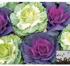 Decorative ornamental garden for sale  LOUGHTON