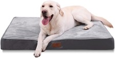 Jaspuriea dog bed for sale  ALLOA