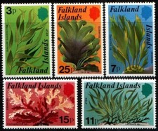 Falkland islands 1979 for sale  HARROGATE