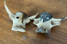 rinderschadel gebraucht kaufen rinderschadel gebraucht kaufen Versand nach Germany