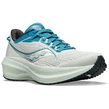 Saucony triumph laufschuhe gebraucht kaufen  Duisburg