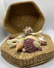 Sea shell decorated for sale  Davidsonville
