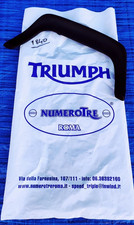 Triumph daytona 1996 usato  Roma