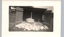 Brooder house c1910 for sale  Davenport