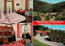 Berharmersbach bergbauernhof s gebraucht kaufen  Deutschland