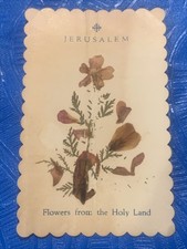 Dried flowers holy for sale  Bolivar