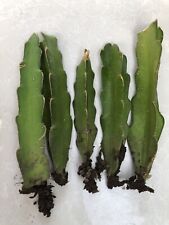 Bulk organic self for sale  Vero Beach
