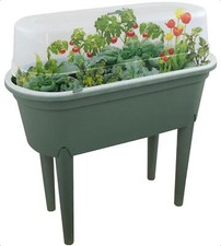 Mini greenhouse propagator for sale  COLCHESTER