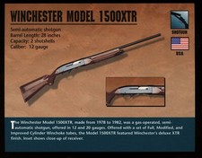 Winchester model 1500xtr for sale  Waupun