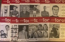 Raccolta completa ale usato  Torino