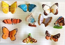 Serie feves papillons d'occasion  Vrigne-aux-Bois