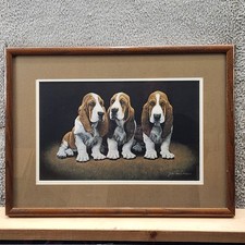 John weiss basset for sale  Depew