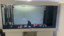Used, Aquarium juwel rio for sale  LEICESTER