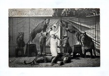 Circus barum frau gebraucht kaufen  Neugersdorf