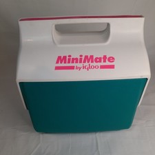 Mini mate igloo for sale  Delaware