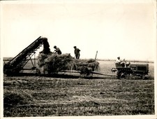Ga222 original photo for sale  Dixon