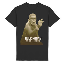 Hulk hogan hulkamania gebraucht kaufen  Köln