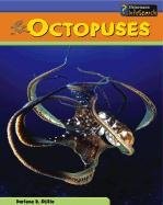 Octopuses for sale  Interlochen