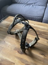 Geschirre gebraucht kaufen  Stepenitztal