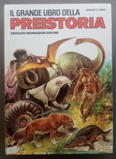 Giorgio panini grande usato  Arezzo