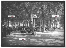 Plaque verre photo d'occasion  Grenade