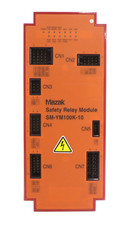 Conjunto de módulo de relé de segurança elétrica Mazak SM-YM100K-10 excedente de trabalho comprar usado  Enviando para Brazil