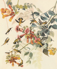 1941 audubon art for sale  Medina