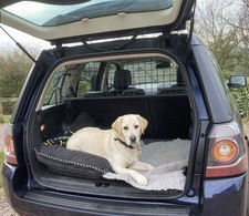freelander dog guard for sale  LEEK