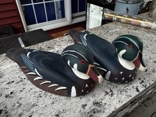 North american duck for sale  Hartford