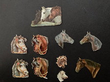 Horses heads mix for sale  CANTERBURY