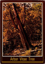 Continental postcard arbor for sale  San Gabriel