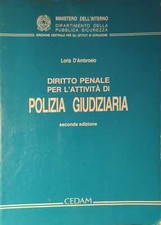 Diritto penale per usato  Italia