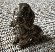 bronze spaniel for sale bronze spaniel for sale BRENTFORD