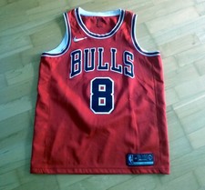 Nike nba basketball gebraucht kaufen  Salzgitter