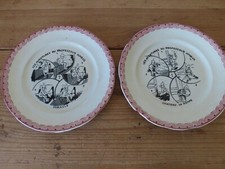 Assiettes sarreguemines aventu d'occasion  Livron-sur-Drôme