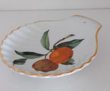 Royal worcester shell for sale  HIGHBRIDGE