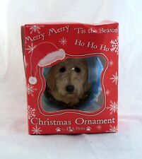 Goldendoodle dog christmas for sale  Mobile