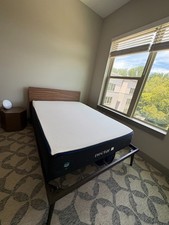 Nectar full sized for sale  Chapel Hill