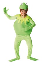 Costume carnevale adulto usato  Rancio Valcuvia